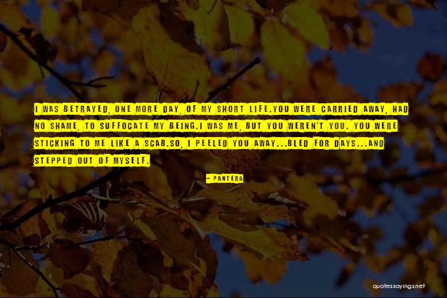 Rainbow Rowell Landline Quotes By Pantera Rainbow Rowell Landline Quotes By Pantera