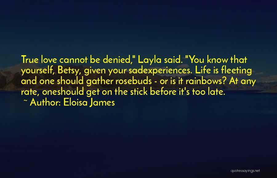 Rainbows And Life Quotes By Eloisa James