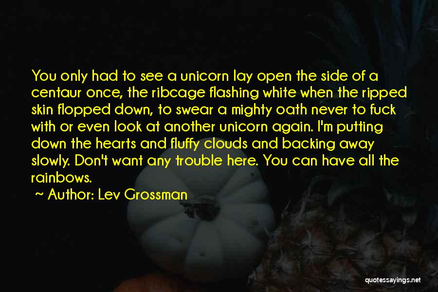 Rainbows And Unicorns Quotes By Lev Grossman