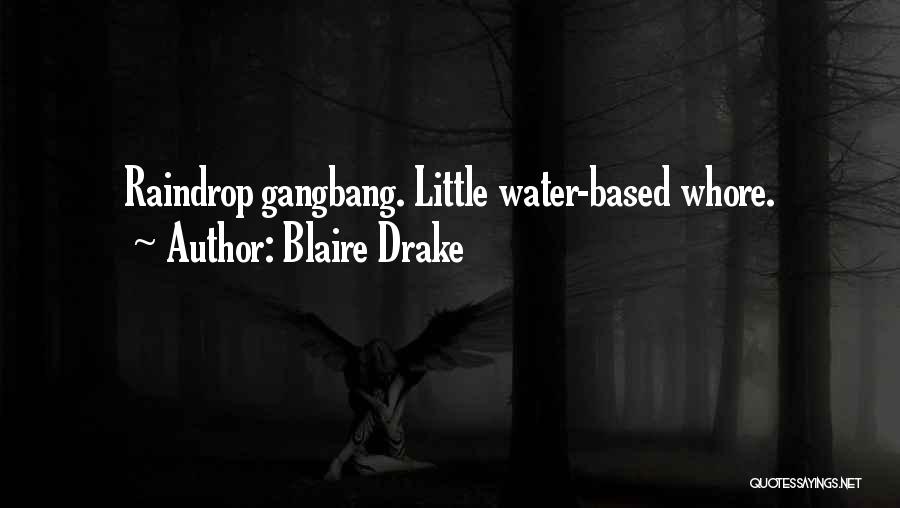 Raindrop Quotes By Blaire Drake