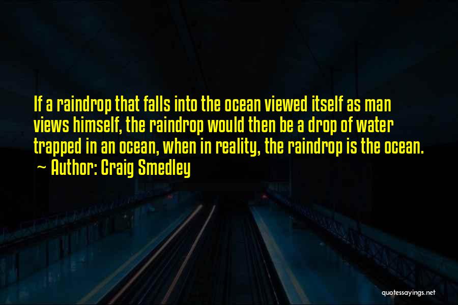 Raindrop Quotes By Craig Smedley