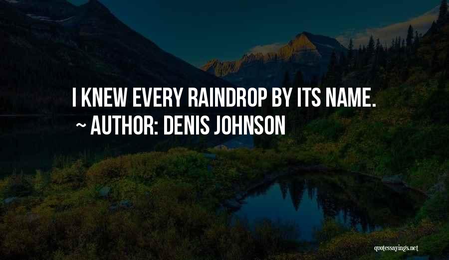 Raindrop Quotes By Denis Johnson