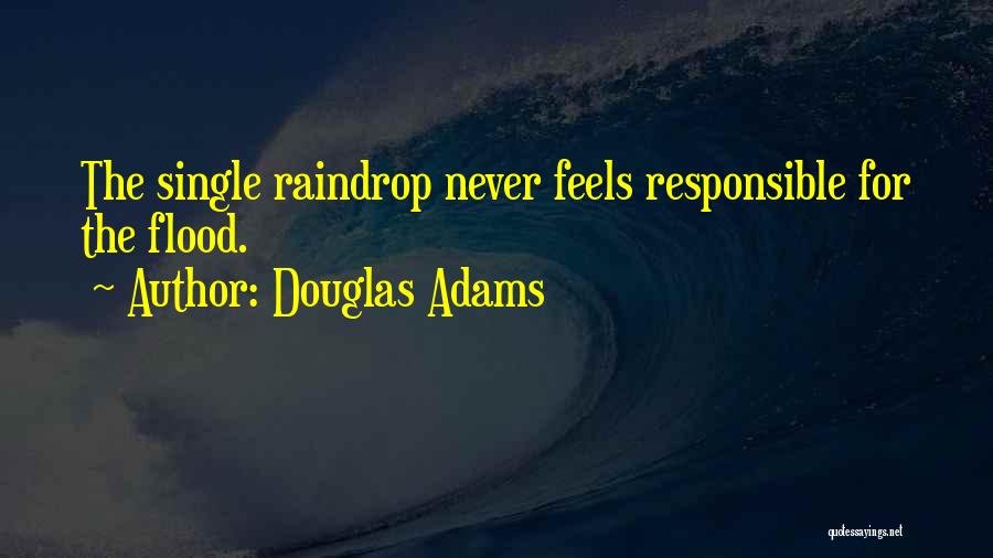 Raindrop Quotes By Douglas Adams