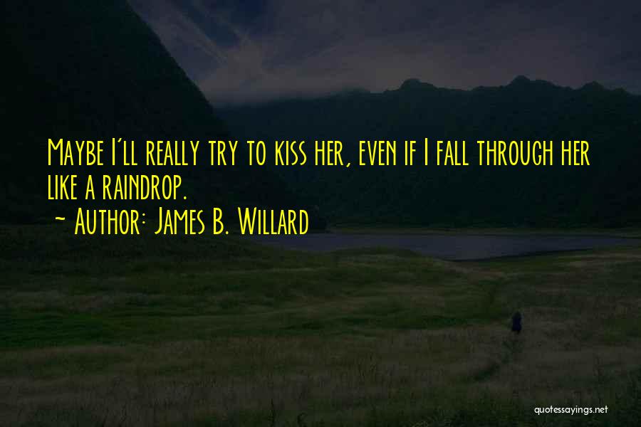 Raindrop Quotes By James B. Willard