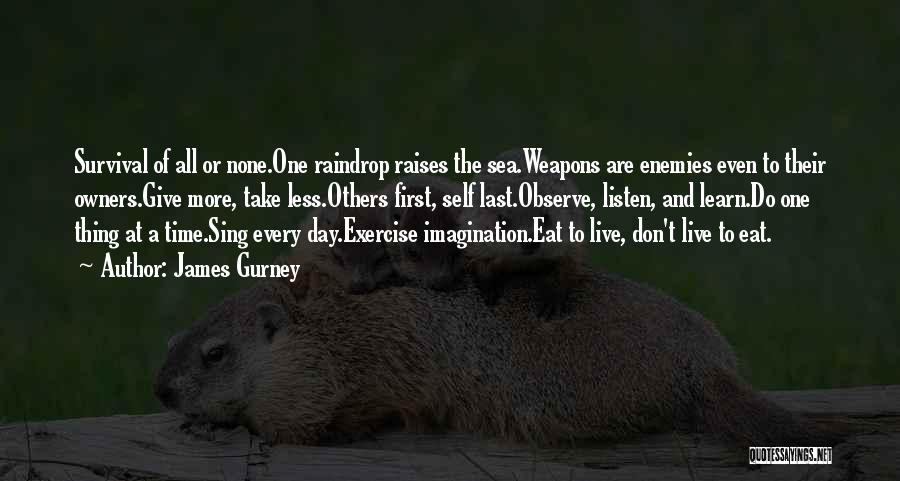 Raindrop Quotes By James Gurney