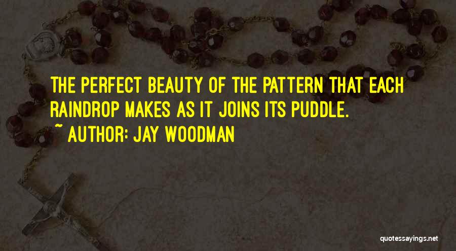Raindrop Quotes By Jay Woodman