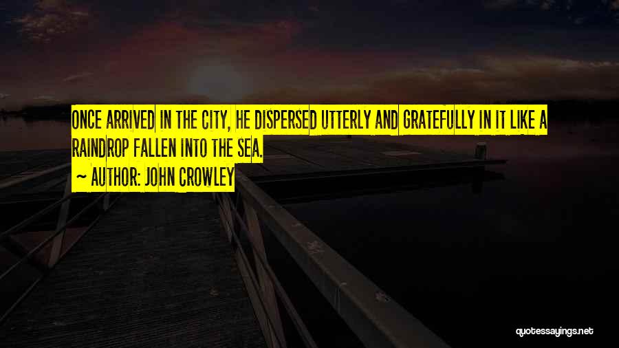 Raindrop Quotes By John Crowley