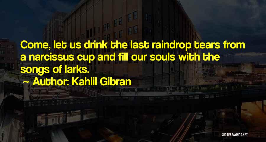 Raindrop Quotes By Kahlil Gibran