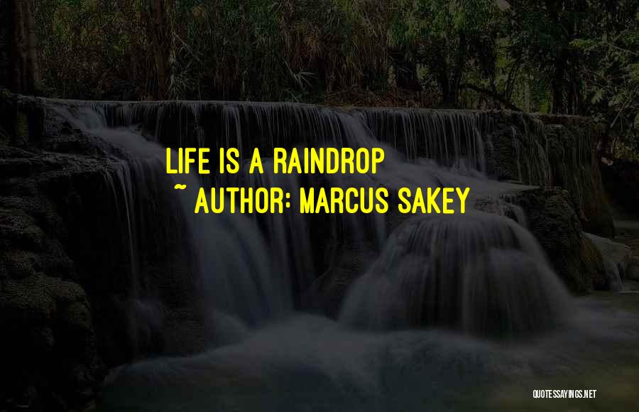 Raindrop Quotes By Marcus Sakey
