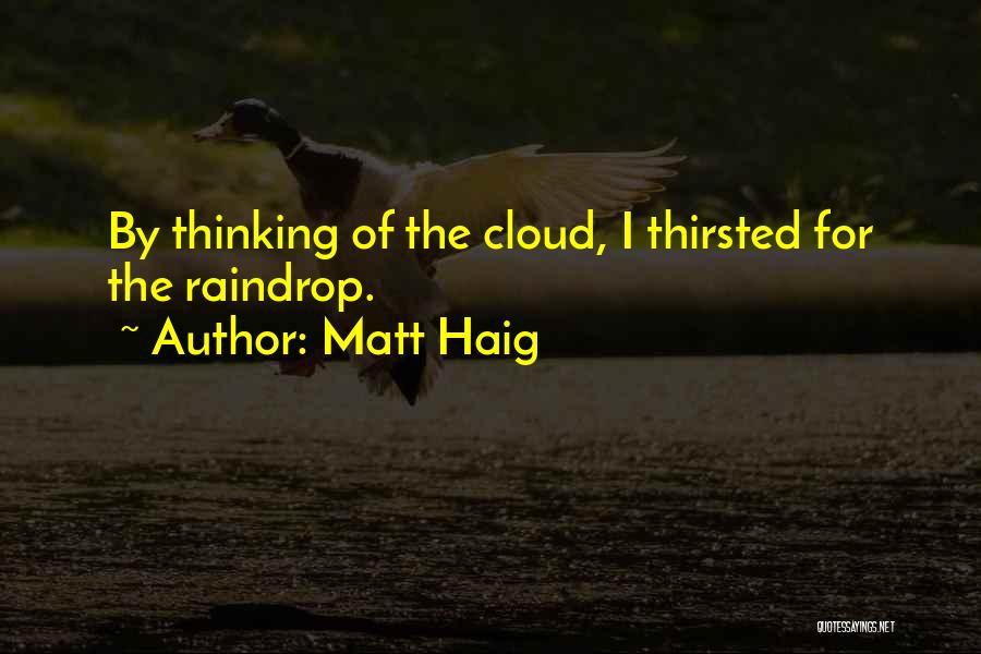 Raindrop Quotes By Matt Haig