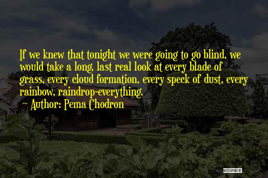 Raindrop Quotes By Pema Chodron