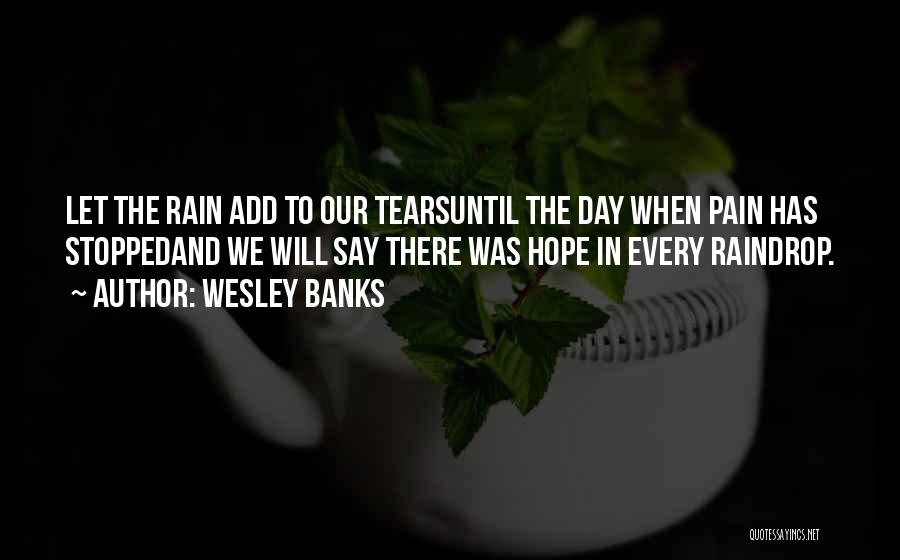 Raindrop Quotes By Wesley Banks
