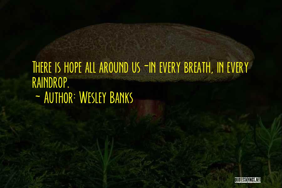 Raindrop Quotes By Wesley Banks