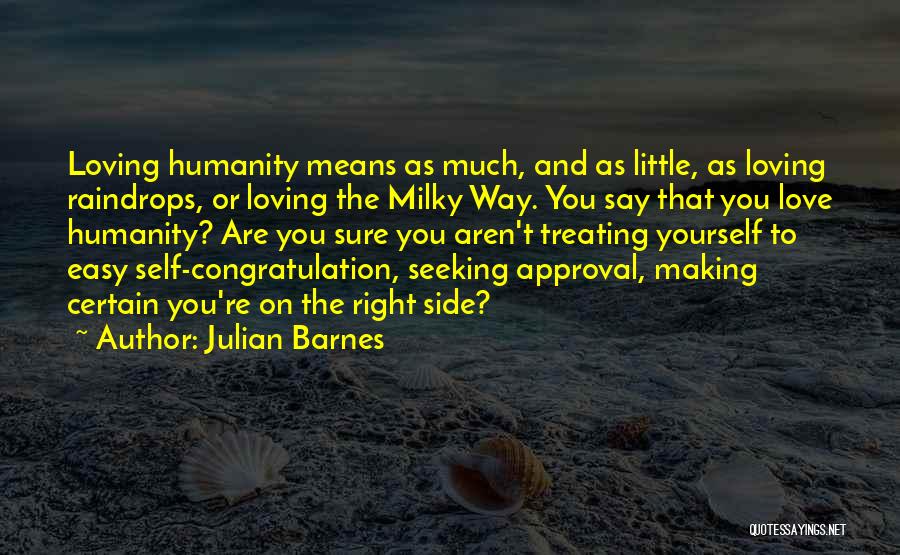 Raindrops And Love Quotes By Julian Barnes