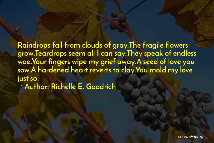 Raindrops And Love Quotes By Richelle E. Goodrich