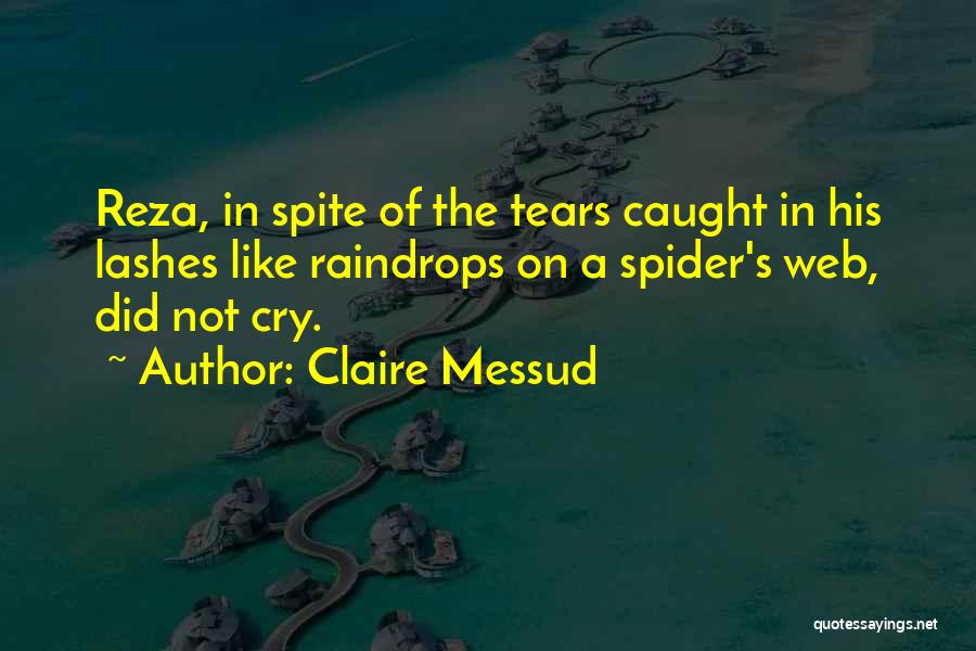 Raindrops And Tears Quotes By Claire Messud