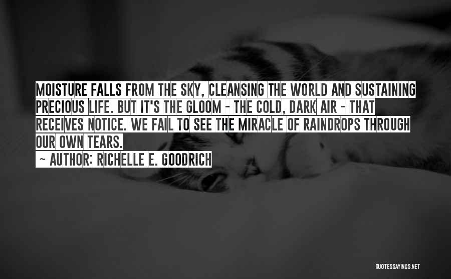 Raindrops And Tears Quotes By Richelle E. Goodrich