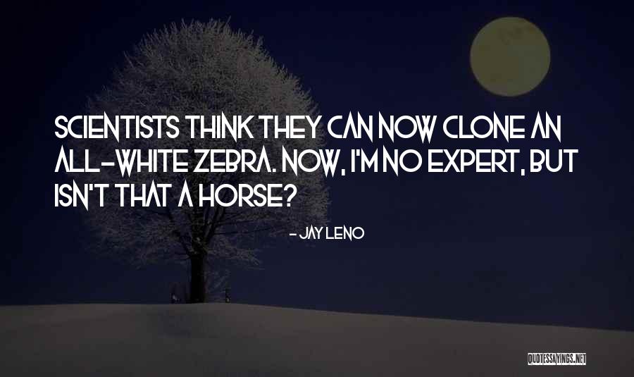 Rainen Companies Quotes By Jay Leno Rainen Companies Quotes By Jay Leno