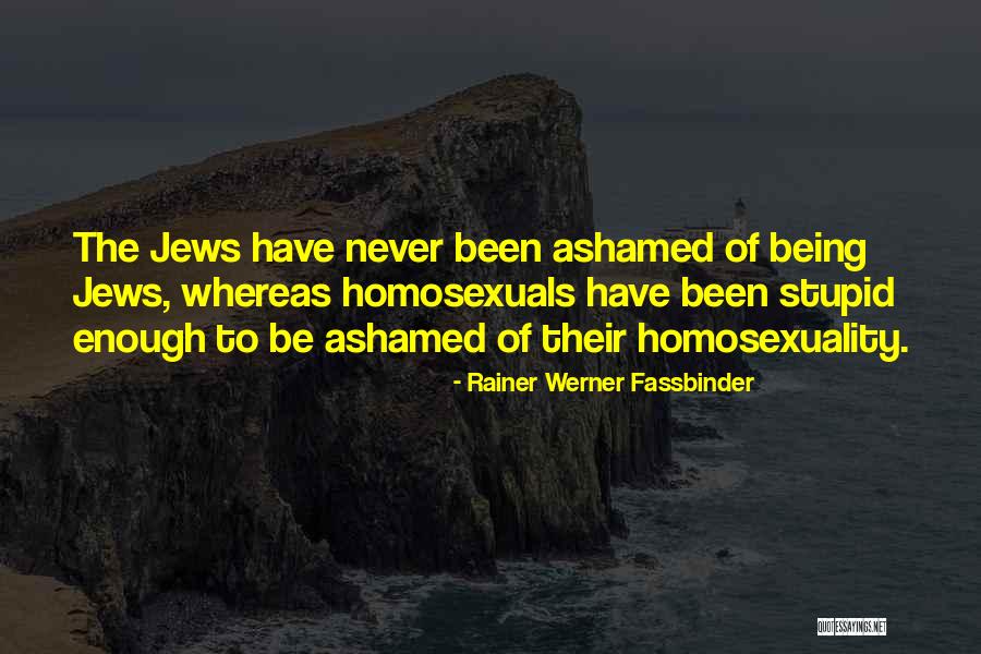 Rainer Fassbinder Quotes By Rainer Werner Fassbinder Rainer Fassbinder Quotes By Rainer Werner Fassbinder