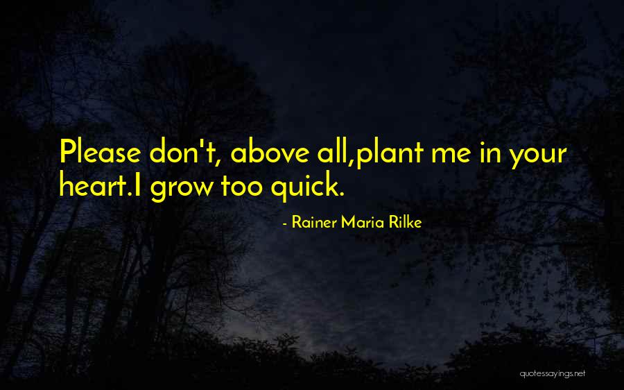 Rainer Maria Quotes By Rainer Maria Rilke