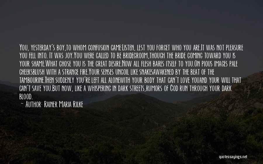 Rainer Maria Rilke Quotes 213643