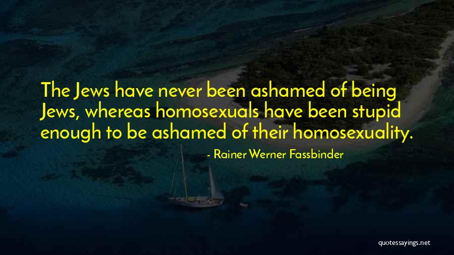 Rainer Werner Fassbinder Quotes 1623900