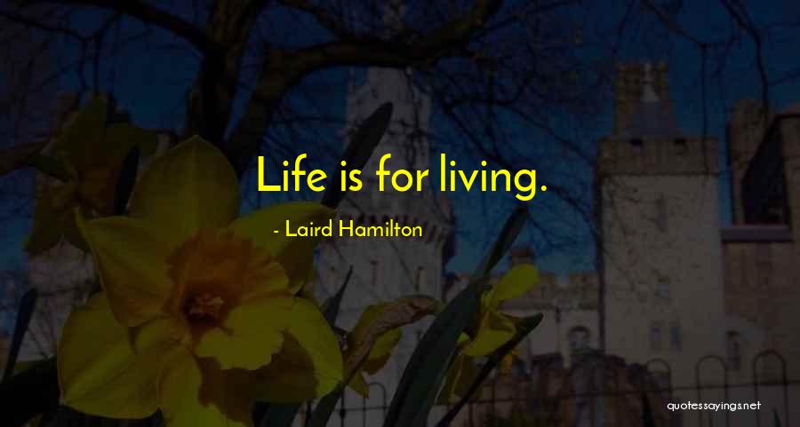 Rainey Construction Quotes By Laird Hamilton Rainey Construction Quotes By Laird Hamilton