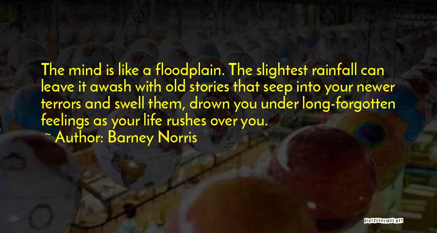 Rainfall Quotes By Barney Norris