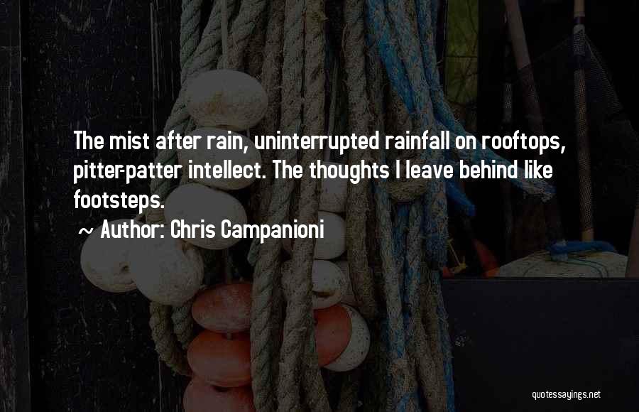 Rainfall Quotes By Chris Campanioni