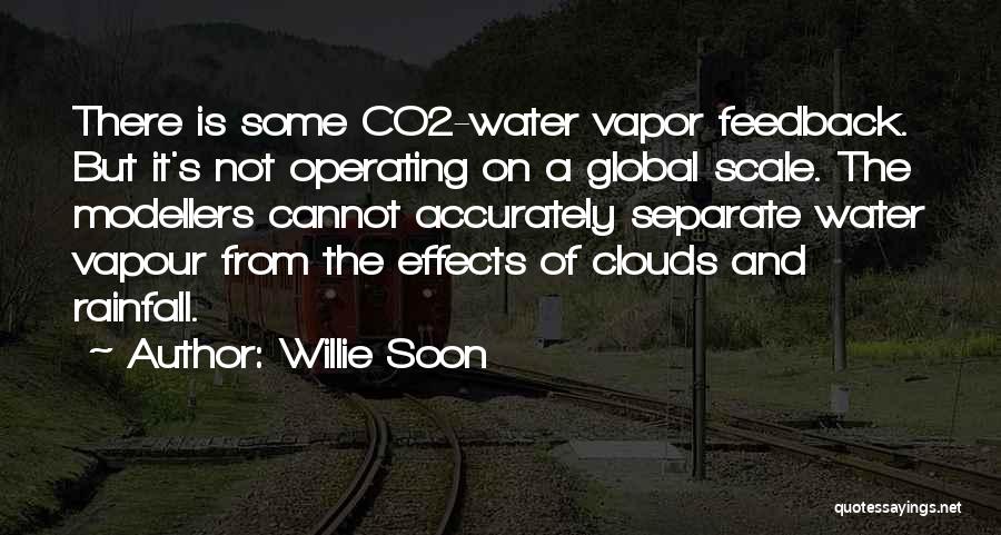 Rainfall Quotes By Willie Soon