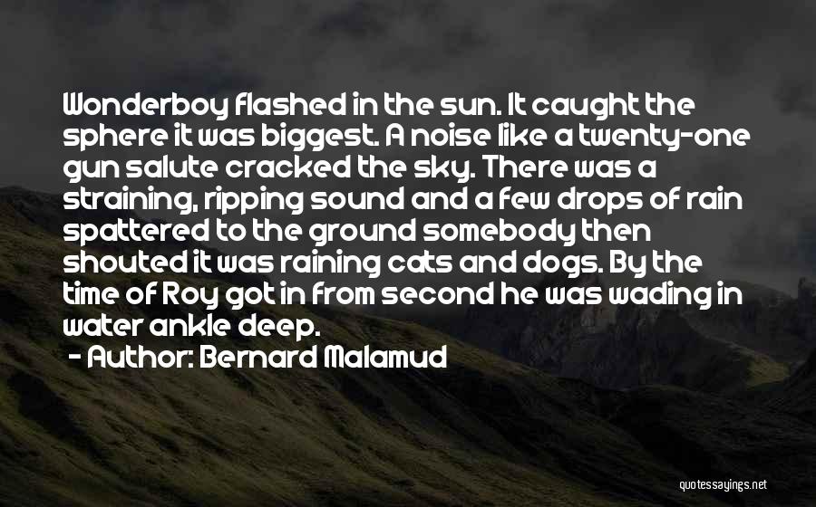Raining Cats And Dogs Quotes By Bernard Malamud