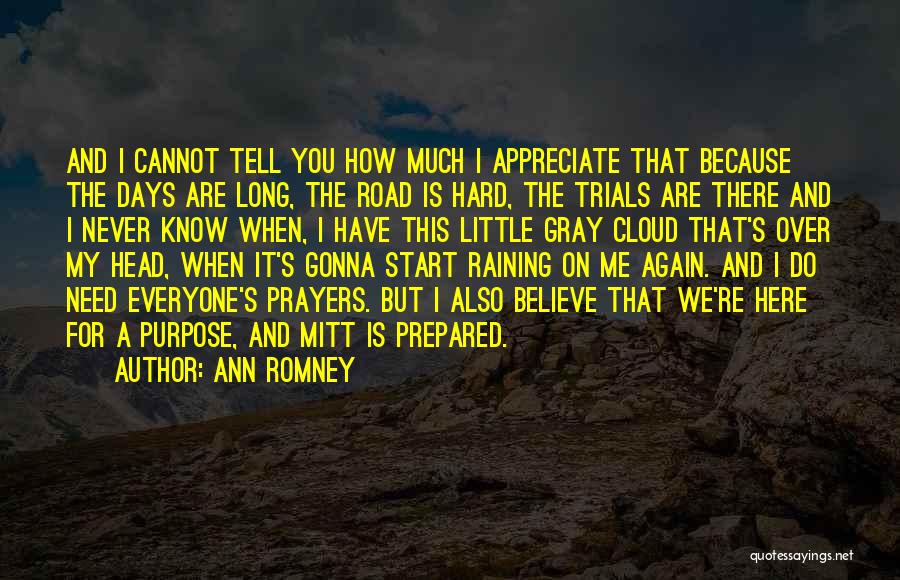 Raining Days Quotes By Ann Romney