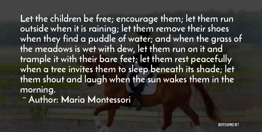 Raining Morning Quotes By Maria Montessori