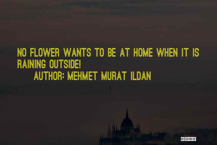 Raining Outside Quotes By Mehmet Murat Ildan