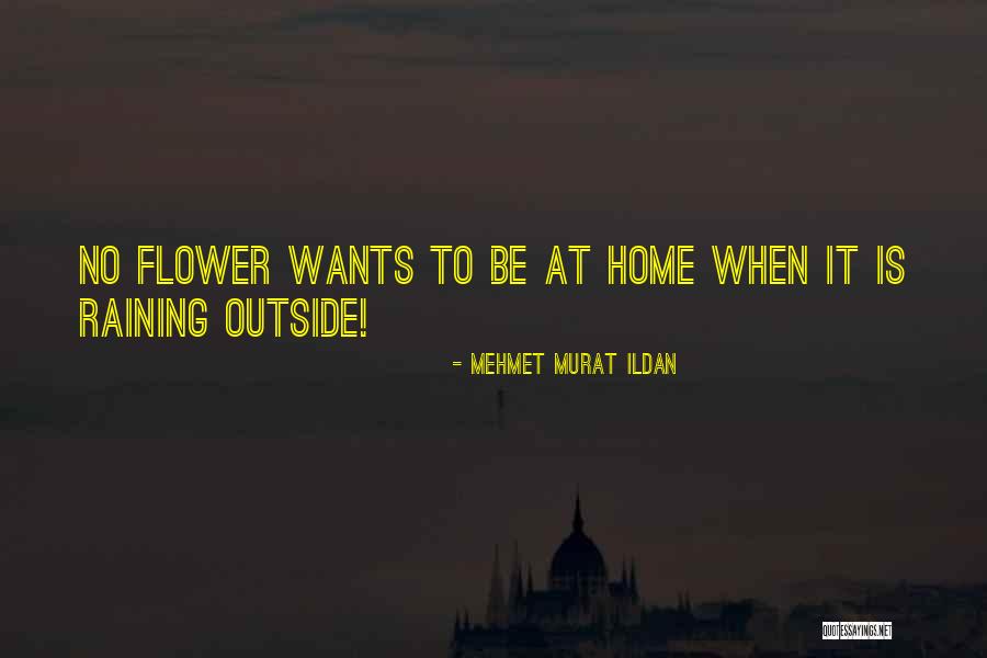 Raining Outside Quotes By Mehmet Murat Ildan