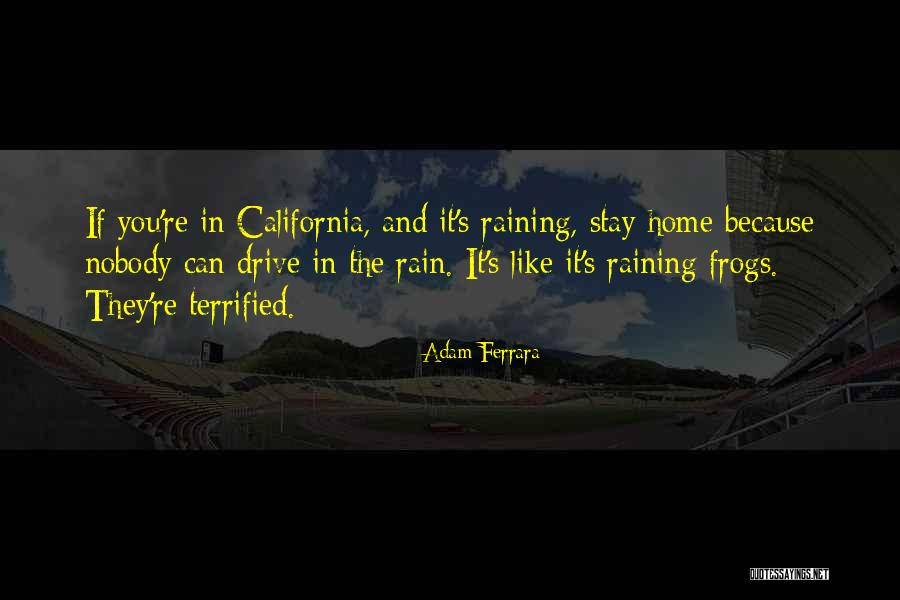 Raining Quotes By Adam Ferrara