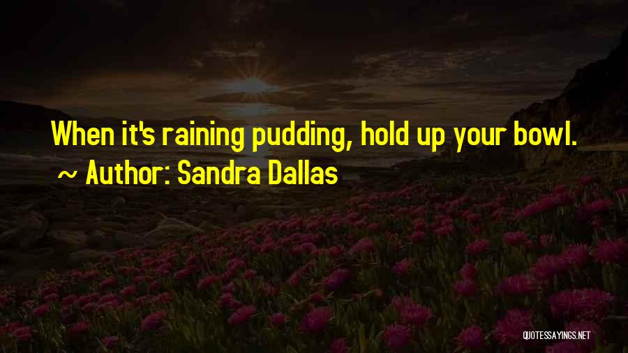 Raining Quotes By Sandra Dallas