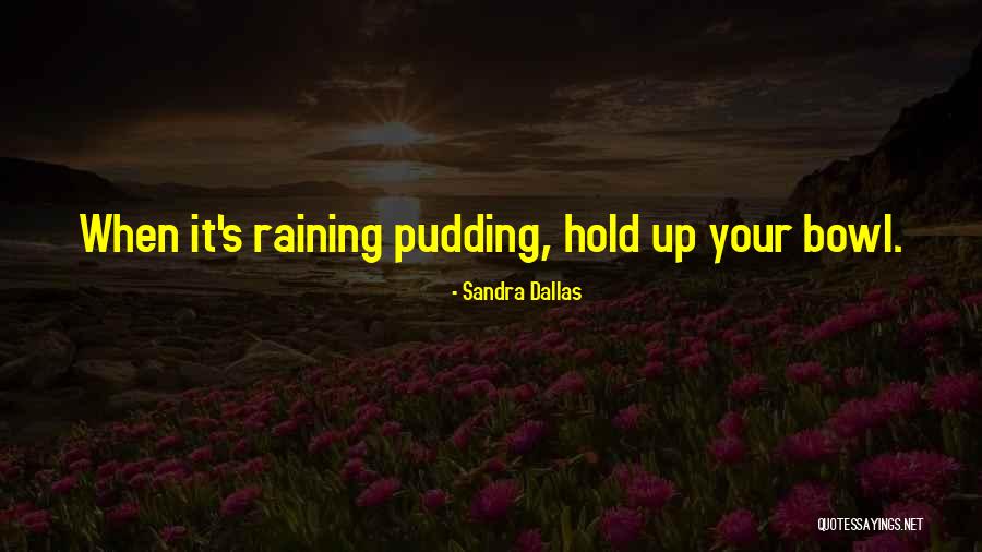 Raining Quotes By Sandra Dallas