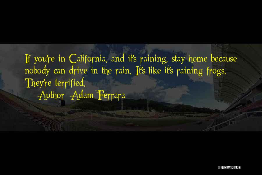 Raining Too Much Quotes By Adam Ferrara