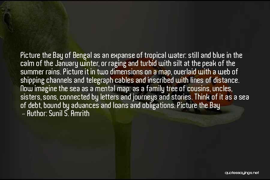 Rains Quotes By Sunil S. Amrith