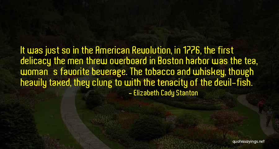 Rainville Special Functions Quotes By Elizabeth Cady Stanton