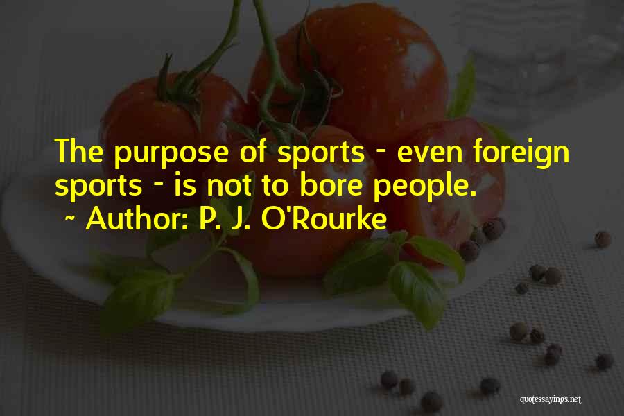Rainville Special Functions Quotes By P. J. O'Rourke