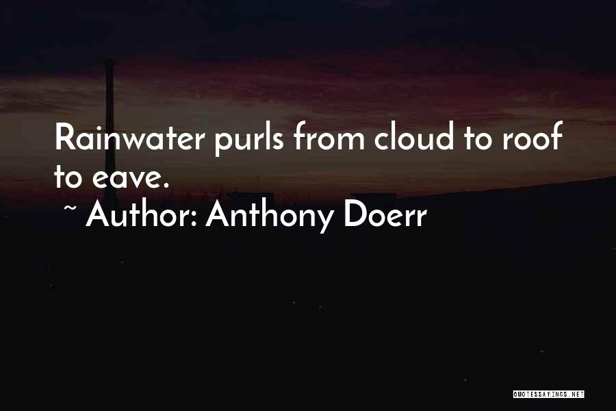 Rainwater Quotes By Anthony Doerr