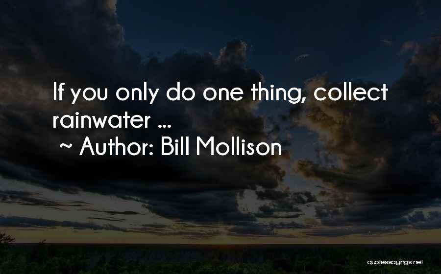 Rainwater Quotes By Bill Mollison