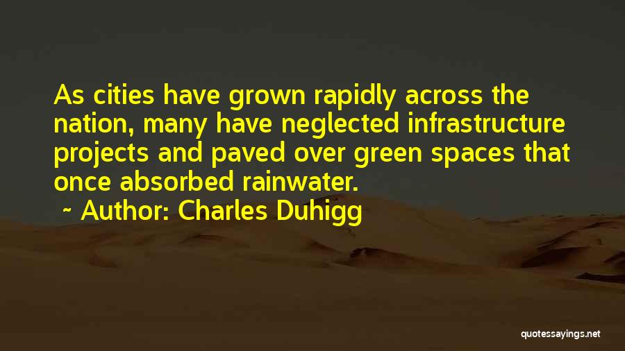 Rainwater Quotes By Charles Duhigg