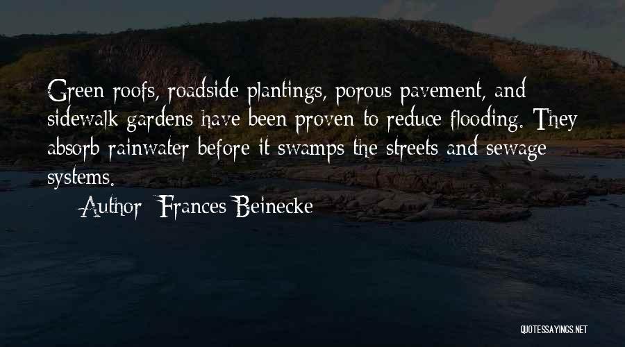 Rainwater Quotes By Frances Beinecke