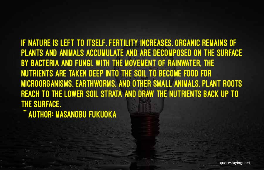 Rainwater Quotes By Masanobu Fukuoka