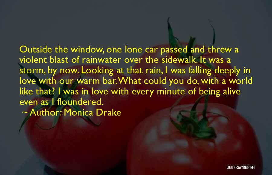 Rainwater Quotes By Monica Drake