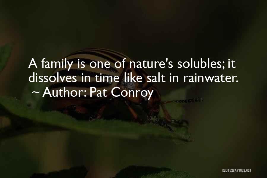 Rainwater Quotes By Pat Conroy