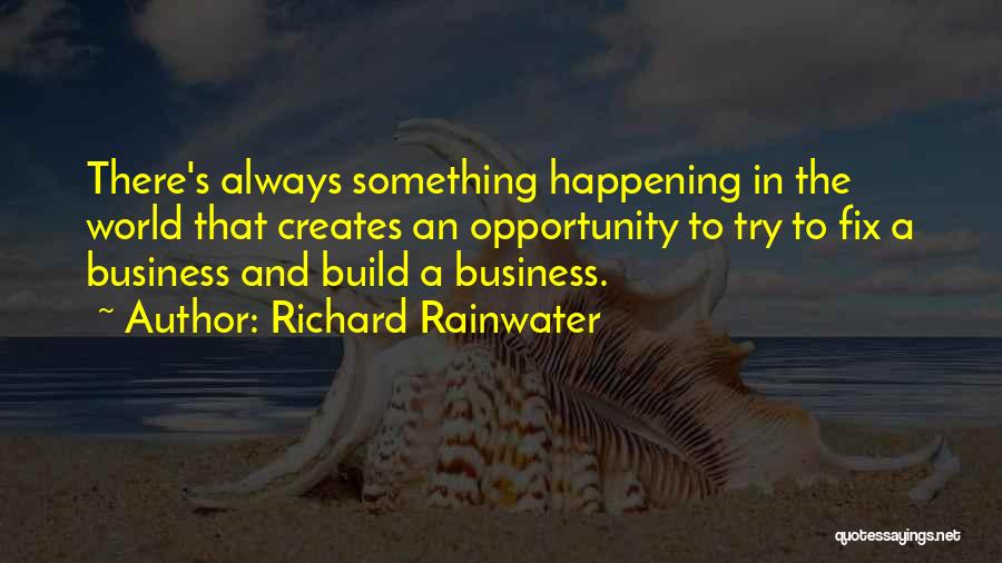 Rainwater Quotes By Richard Rainwater